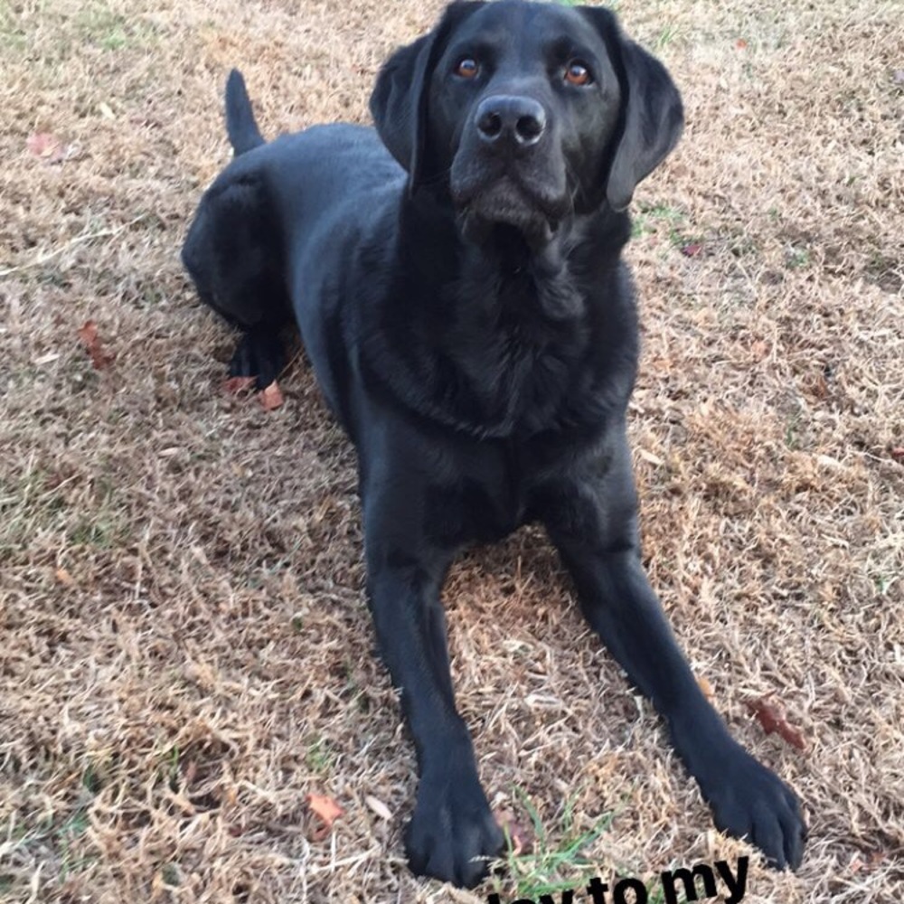 Meet your Posher, Landon